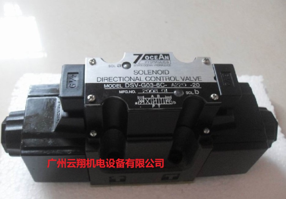 DSV-G03-6C-A220-20电磁阀
