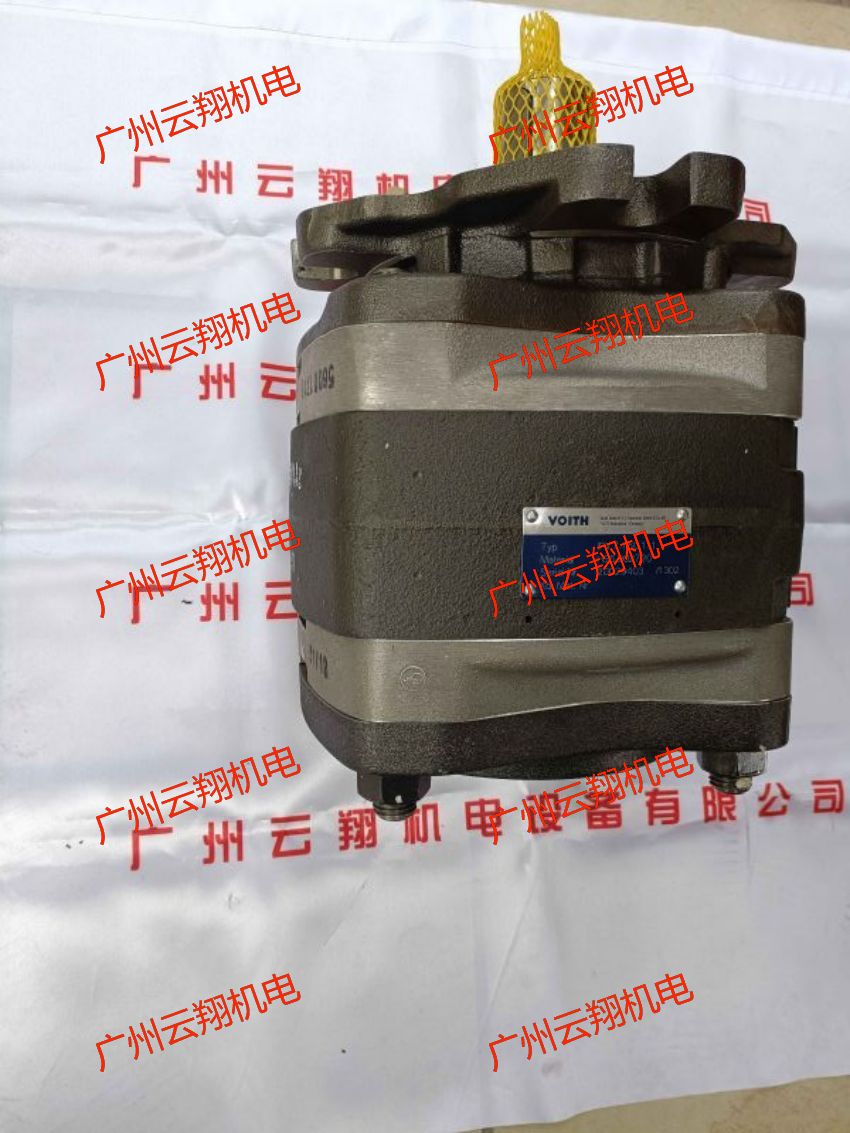 Voith福伊特IPVP6-80-101