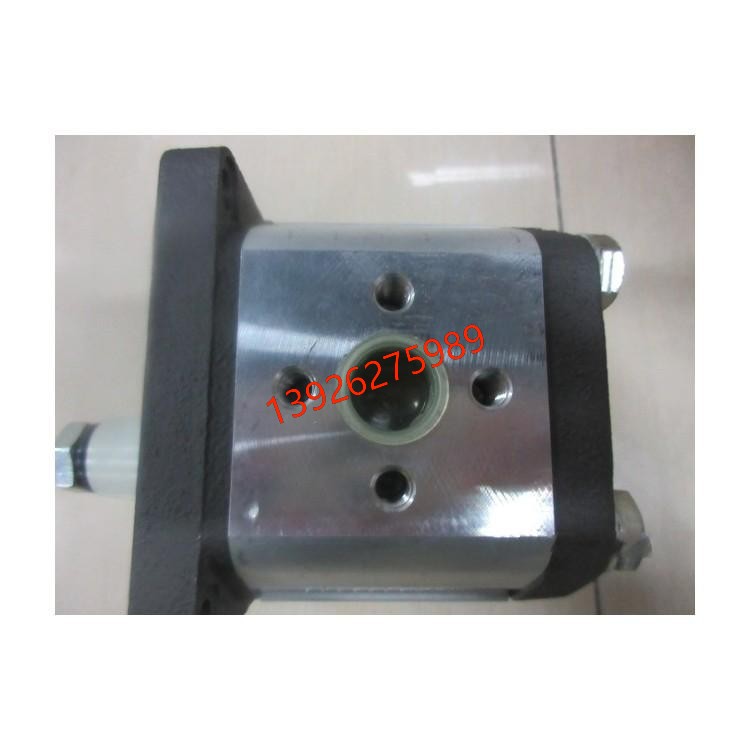 供应PFG-218-D意大利阿托斯双联齿轮泵 钢厂用液压泵