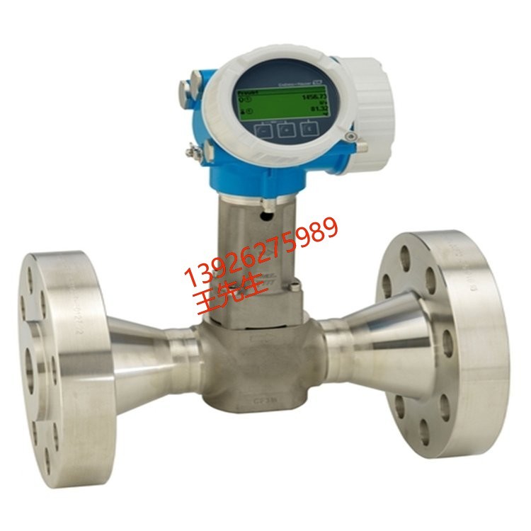 E+H 过程测量仪 RIA452-A121A11A