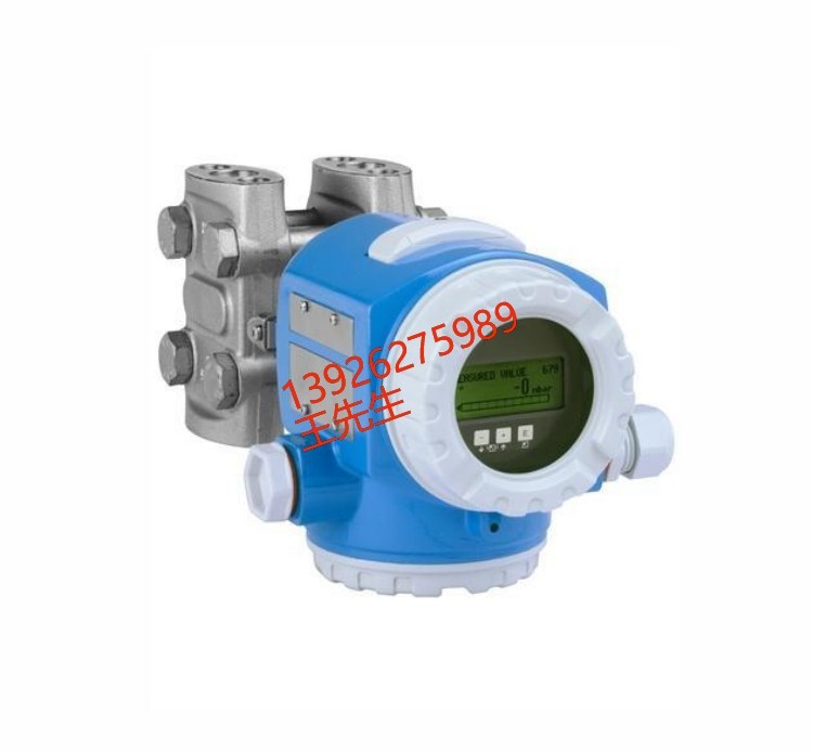 E+H 模拟式电导率仪 CLS12-A1D1A