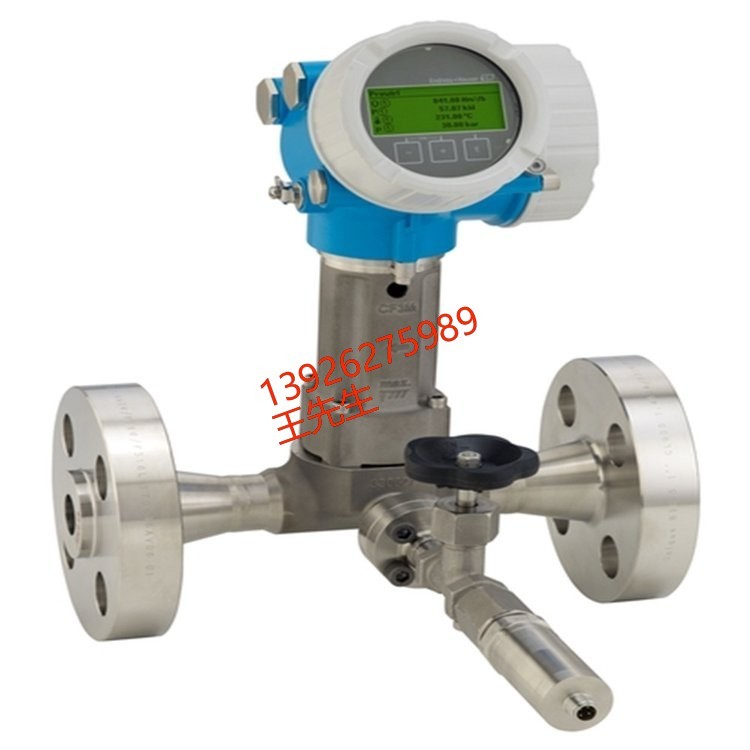 E+H 电容式物位计 FTC260-AA4D1 原装进口