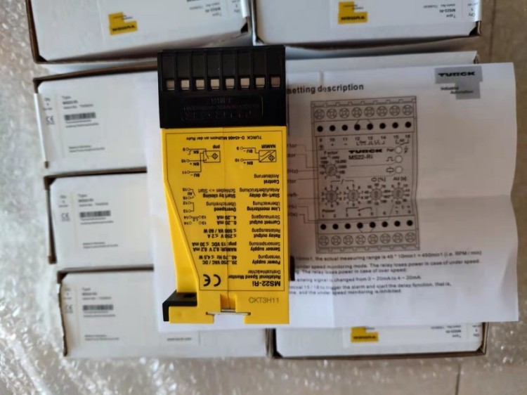 德国原装TURCK图尔克传感器BL67-2AI-PT