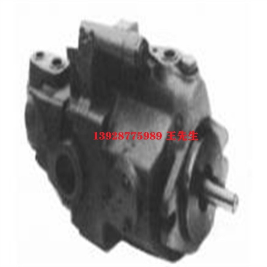 日本大金转子泵RP23C23H-22-30