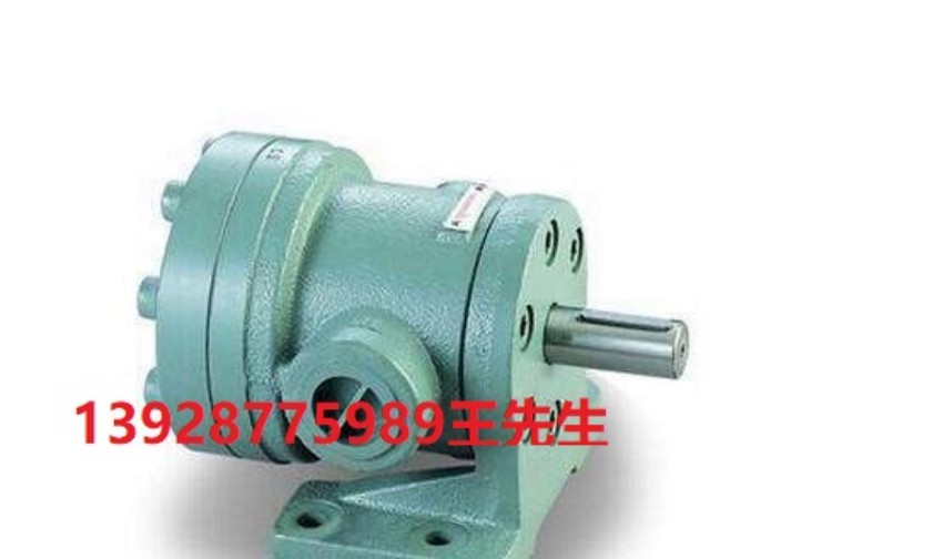 日本大金转子泵RP15A2-15-30