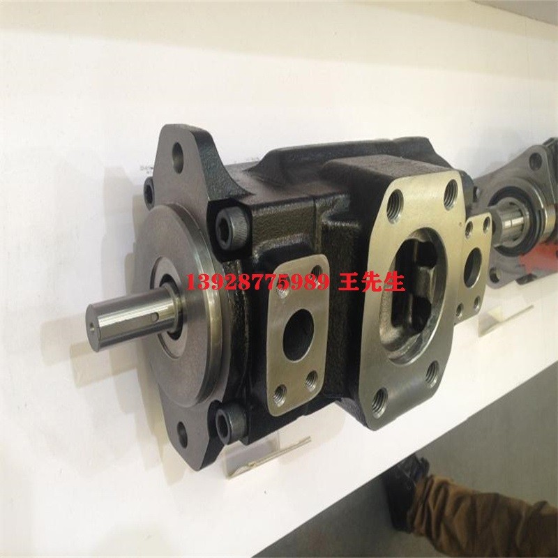  丹尼逊柱塞泵T6C-012-1L01-B1