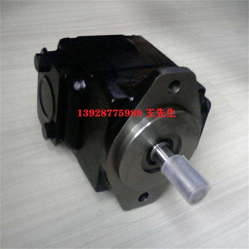  丹尼逊叶片泵T7EDBS-062-B35-B10-1R00-A1-01