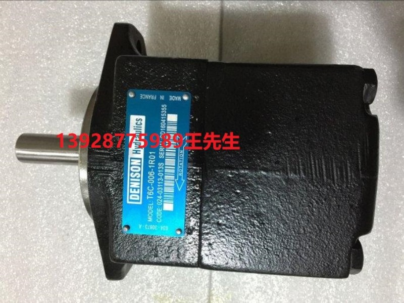 丹尼逊叶片泵T7DBS-B42-B10-1R00-A1M1