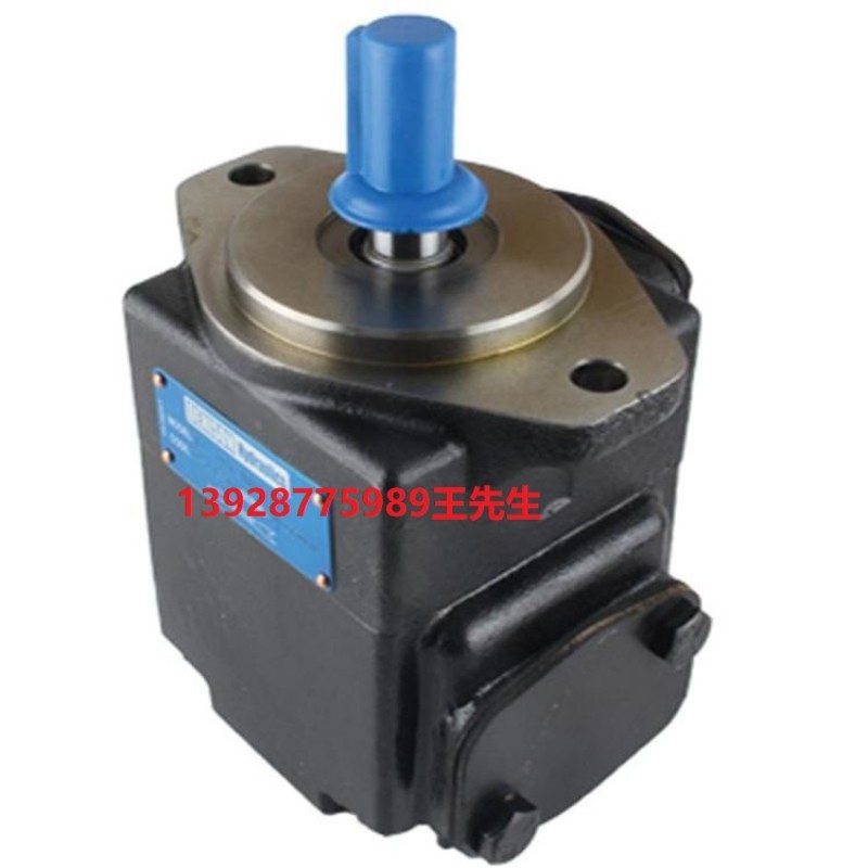 丹尼逊叶片泵T7EDBS-062-B35-B10-1R00-A1-01