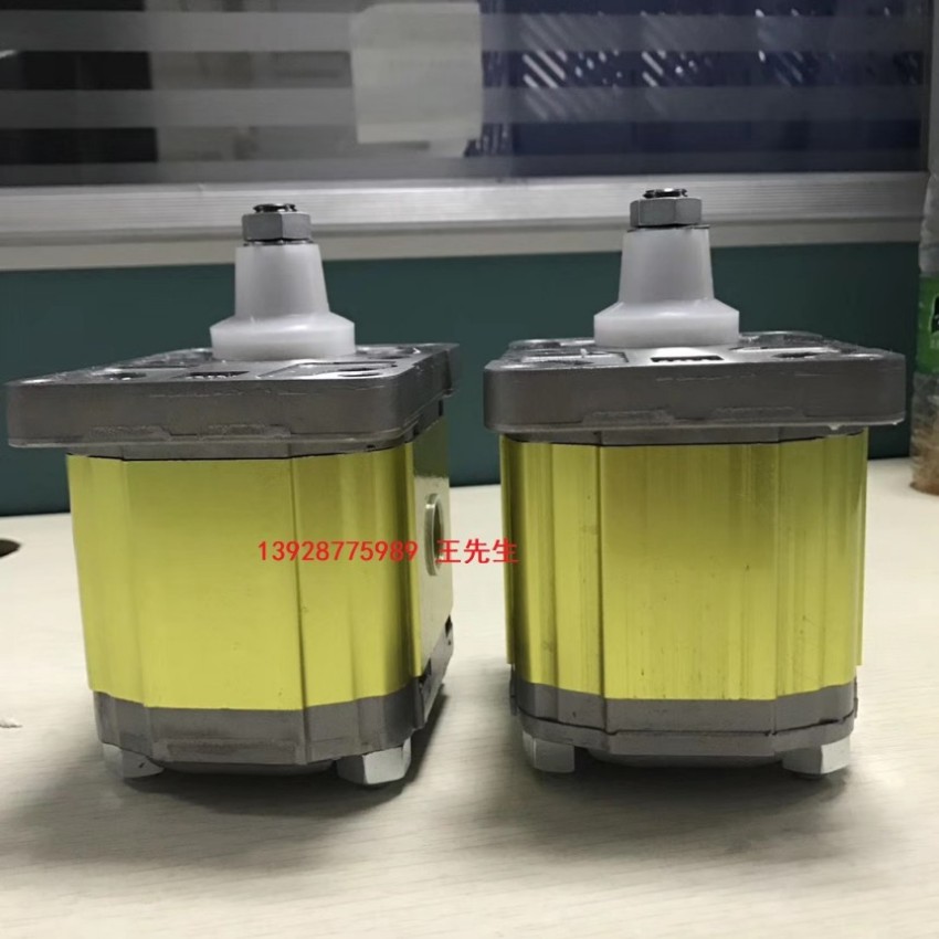 维沃尔WV0P齿轮泵