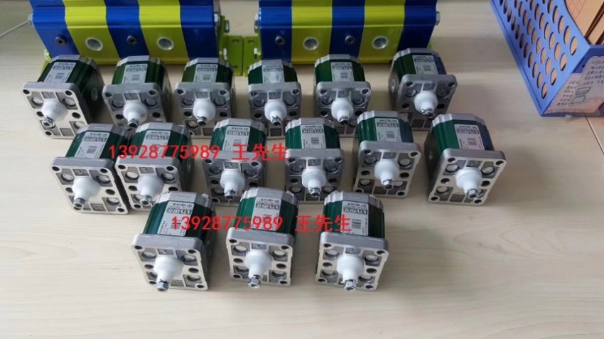 VIVOIL齿轮泵XV-2P/22 S