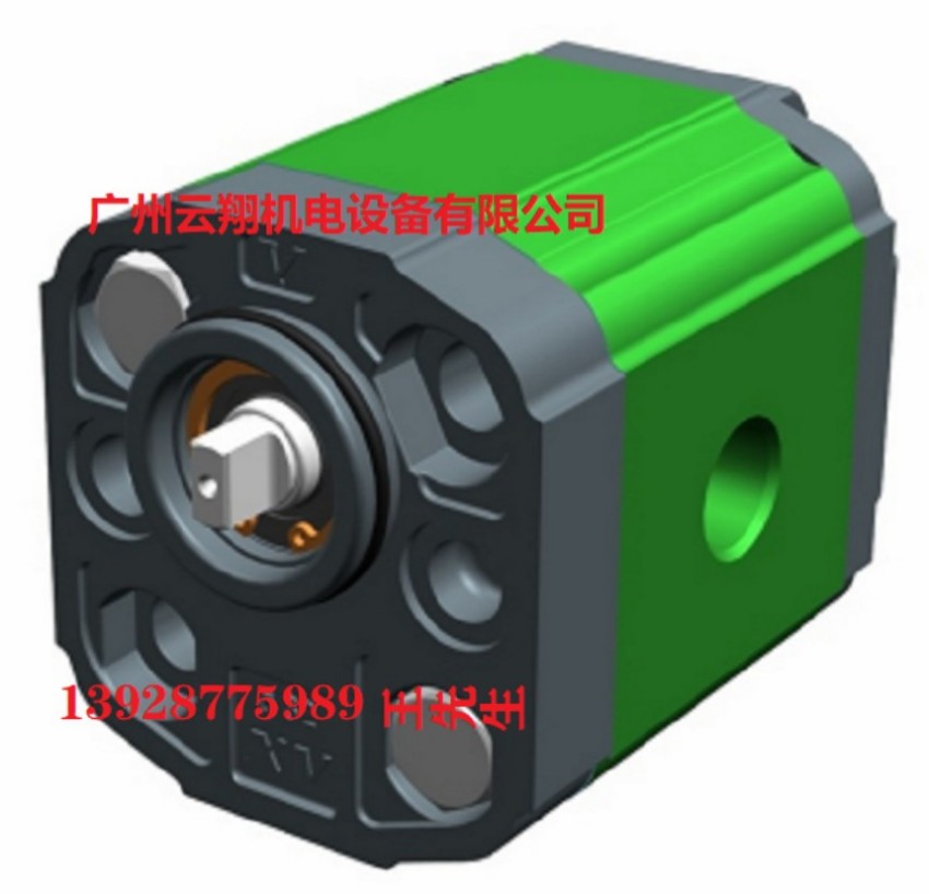 VIVOIL齿轮泵XV-3P/21 S