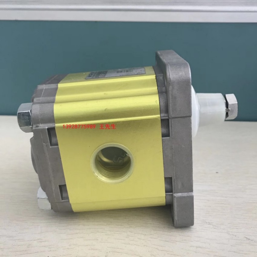 VIVOIL齿轮泵XV-1P/6.5 D