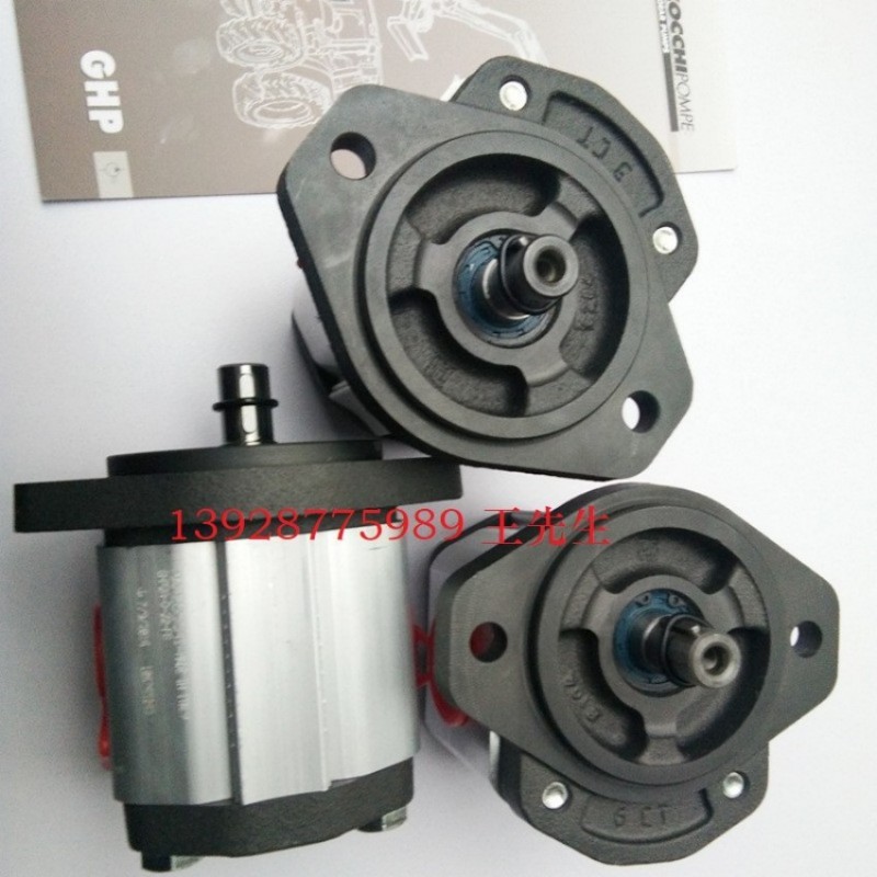  马祖奇齿轮泵ALP2BK2-D-37-FG-V