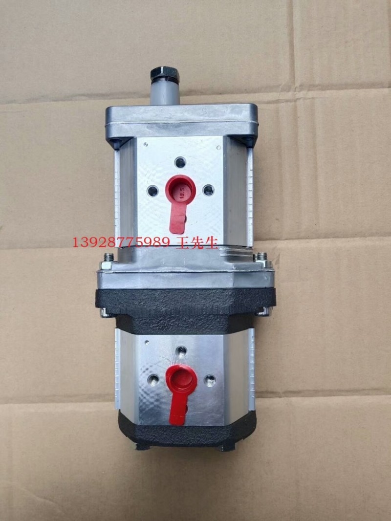  马祖奇ALP2-D-22齿轮泵 