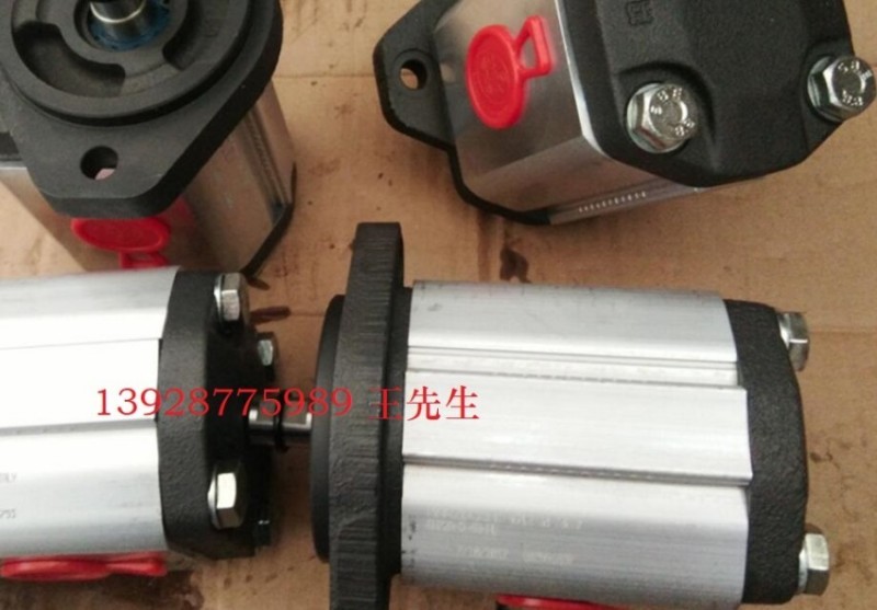 ALP2A-D-25-FG马祖奇齿轮泵，