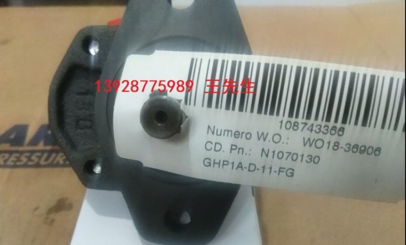  ALP2-D-10马祖奇齿轮泵