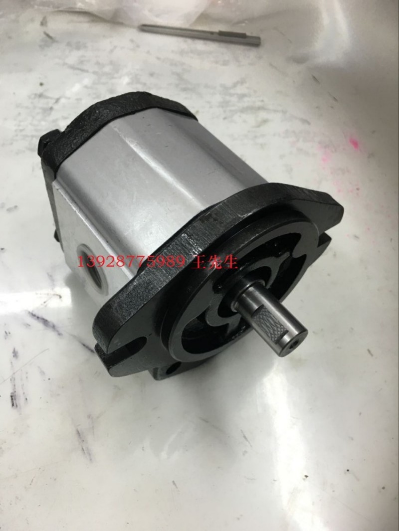  马祖奇双联齿轮泵ALP1A-D-5-FG-V