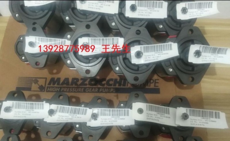  ALP1-D-4-FG 马祖奇齿轮泵ALP1-D-5-FG，