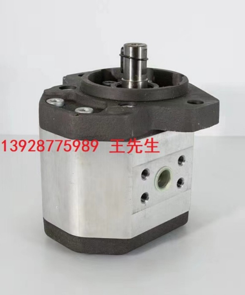  GHP2BK1-D-37 马祖奇齿轮泵