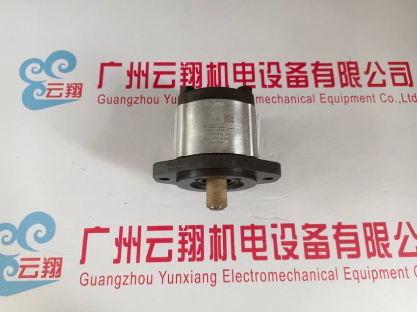  R900920055 4WRAE10W60-22/G24N9K31/F1V