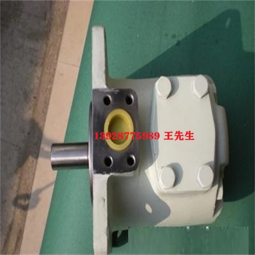  SQP32-38-12-1CB-18东京计器叶片泵