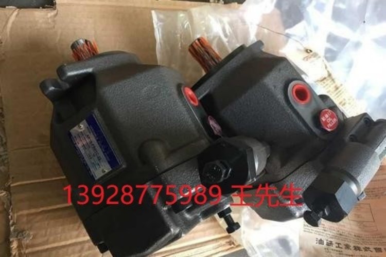 湿式电磁阀DSG-03-3C4-A220-N1-50,DSG-03-3C4-A220-50油研YUKEN